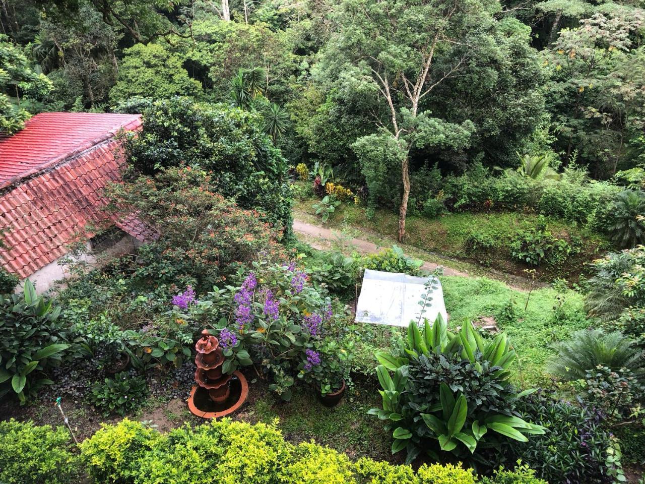 El Valle De Anton La Chachalaca Exterior photo