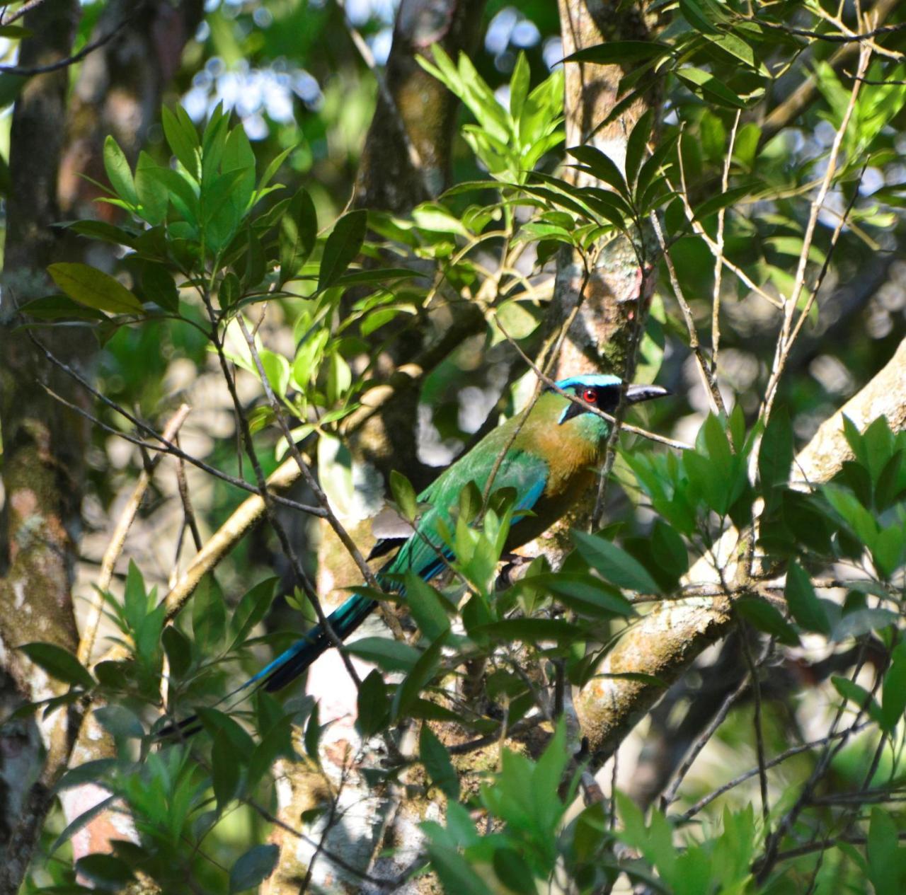 El Valle De Anton La Chachalaca Exterior photo